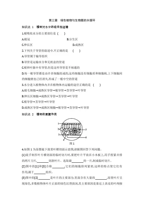 2022学年人教版生物七年级上册第3单元第3---4章同步测试题附答案