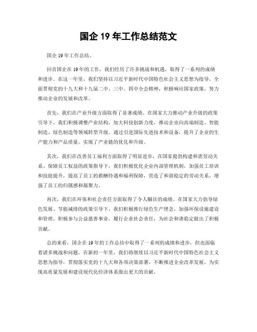国企19年工作总结范文