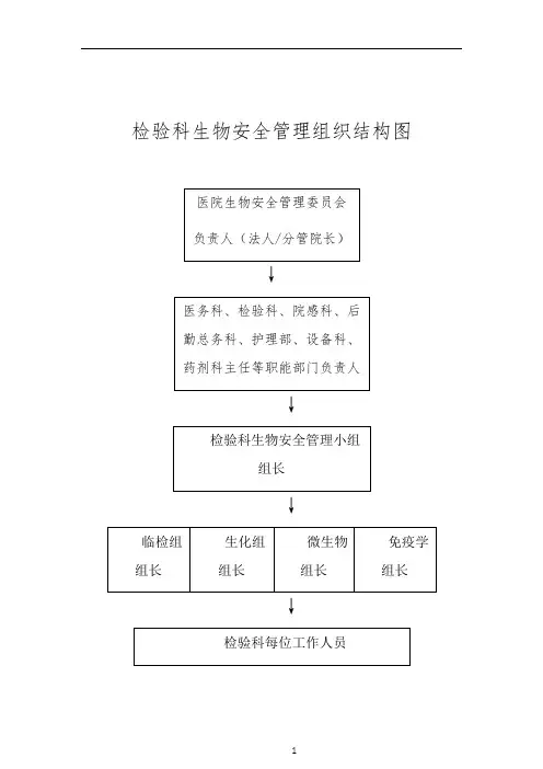 生物安全组织管理和相应的组织图