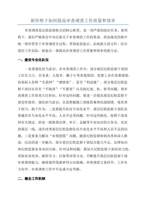新形势下如何提高审查调查工作质量和效率