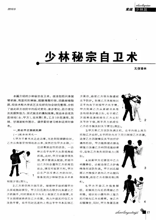 少林秘宗自卫术