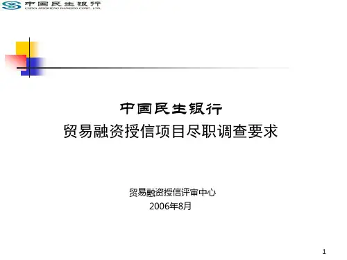 贸易融资授信项目尽职调查要求-贸易融资授信评审中心-仉瑄