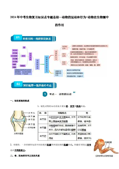 2024年中考生物复习知识点专题总结—动物的运动和行为+动物在生物圈中的作用
