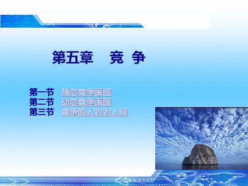 产业经济学视角下的动态竞争与静态竞争