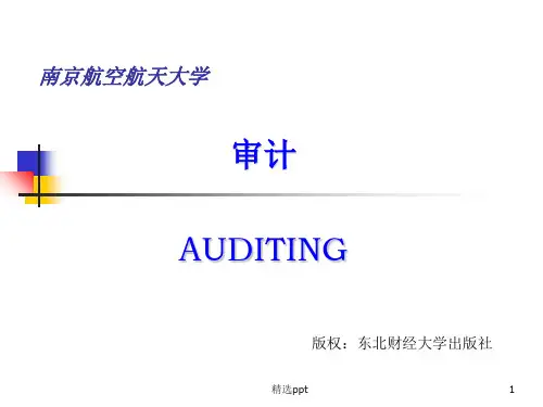 审计课件(完整版)