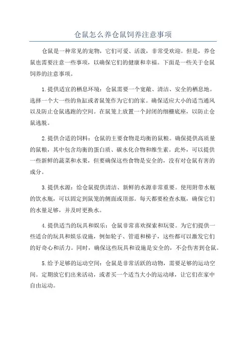 仓鼠怎么养仓鼠饲养注意事项