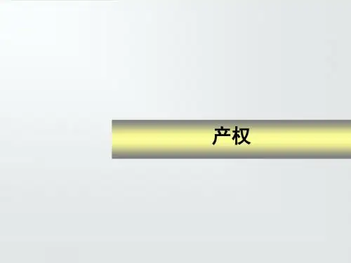 最新课件-产权理论 精品