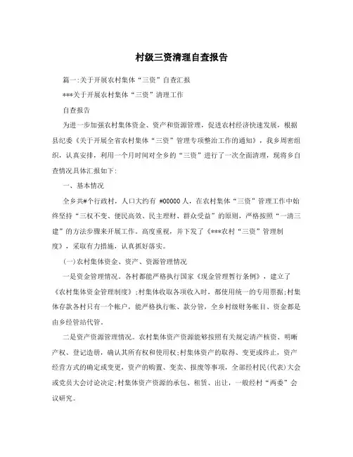 村级三资清理自查报告