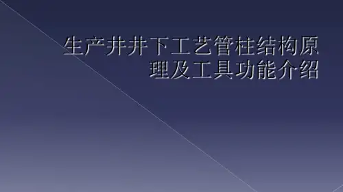 生产井井下工艺管柱结构原理及工具功能介绍