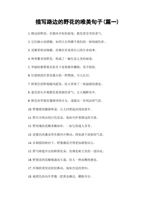 描写路边的野花的唯美句子(精选2篇)