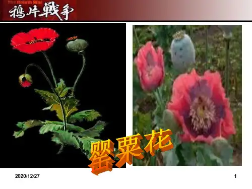 第一课鸦片战争公开课 ppt课件
