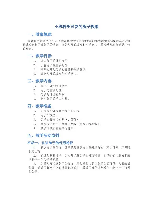 小班科学可爱的兔子教案