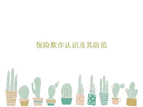 保险欺诈认识及其防范29页PPT