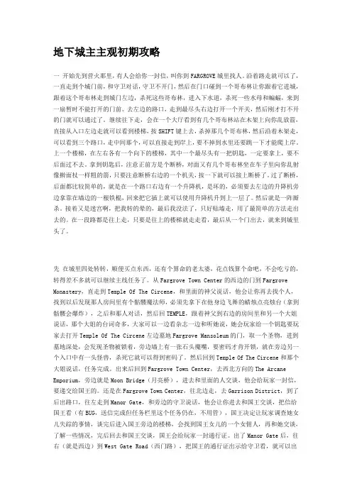 龙与地下城之地下城主主观完全攻略