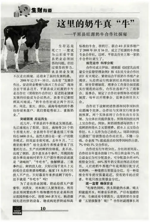 这里的奶牛真“牛”——平原县旺源奶牛合作社探秘