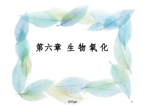 《生物氧化》PPT课件