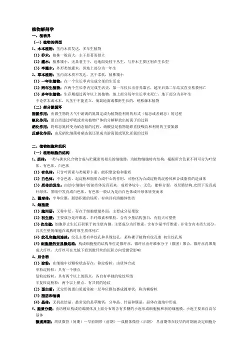 植物解剖学