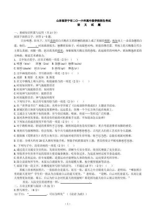 山东省济宁市2016年中考语文试题(word版,含答案).doc