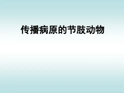 动物寄生虫课件：节肢动物-蜱-牛皮蝇