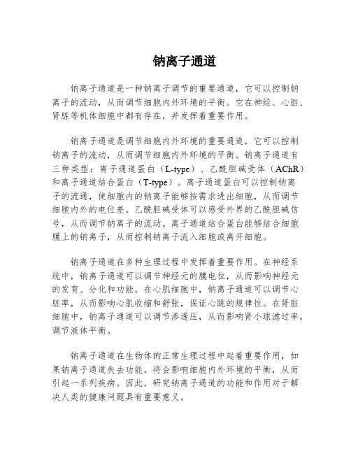 钠离子通道