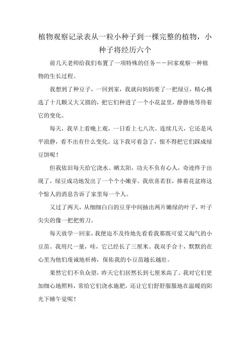 植物观察记录表从一粒小种子到一棵完整的植物,小种子将经历六个