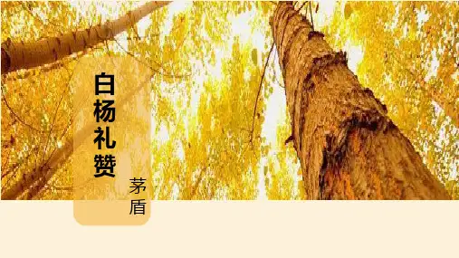 最新统编版初中八年级语文上册《白杨礼赞》ppt教学课件