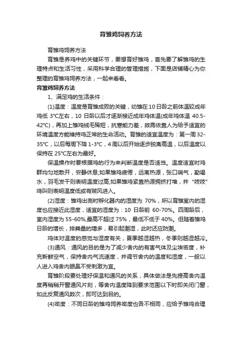育雏鸡饲养方法