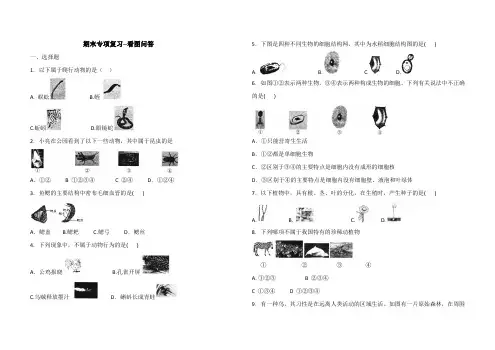 人教版八年级上册生物  期末专项复习——看图问答(含答案)
