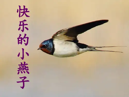三年级下册语文课件-2.快乐的小燕子 l 西师大版 (共15张PPT)