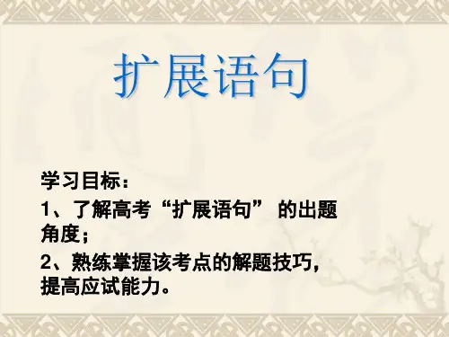 2019高三语文复习扩展语句PPT PPT 课件