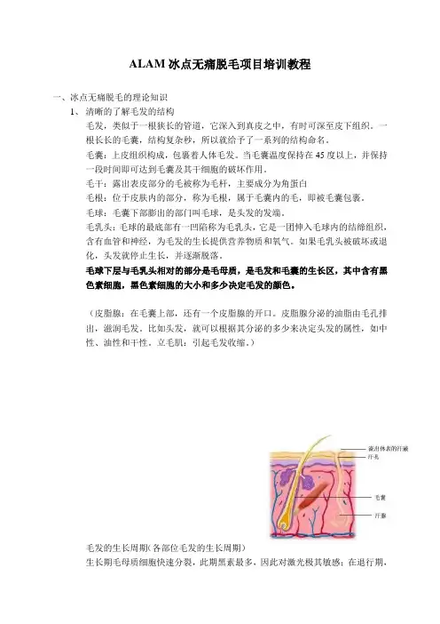 ALAM冰点无痛脱毛项目培训教程