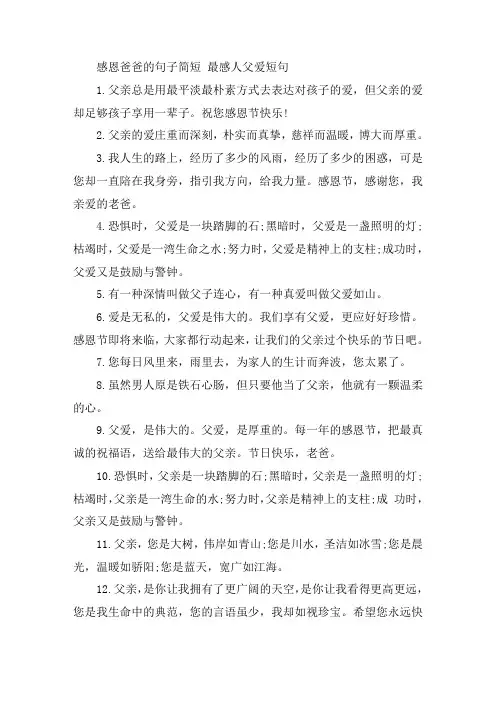 关于感恩爸爸的句子简短 最感人父爱短句