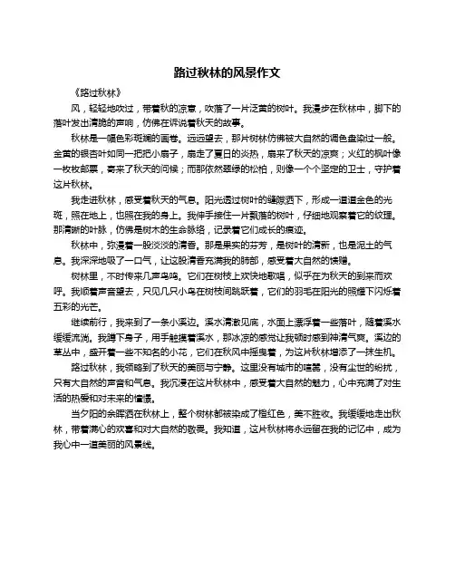 路过秋林的风景作文