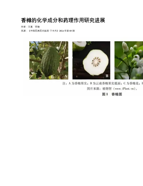 香橼的化学成分和药理作用研究进展