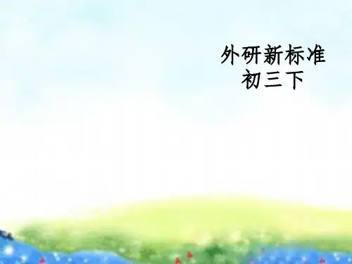 外研版初中英语九年级下册Module 8 《Unit 2 It’s a wonderful tow