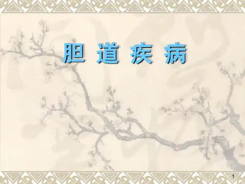 胆道疾病PPT课件