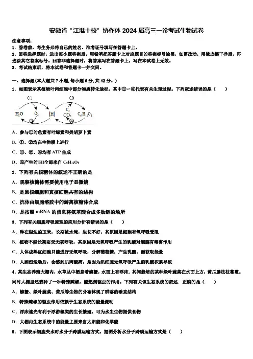 安徽省“江淮十校”协作体2024届高三一诊考试生物试卷含解析