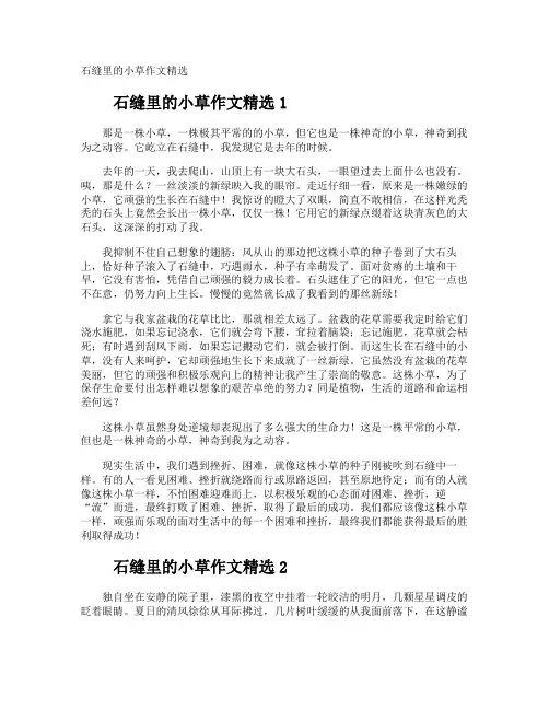 石缝里的小草作文