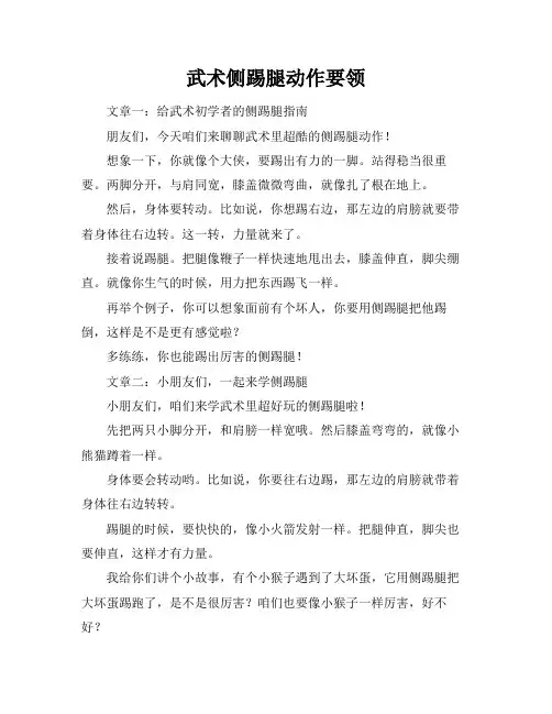 武术侧踢腿动作要领