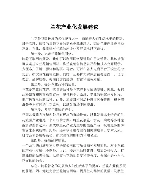 兰花产业化发展建议