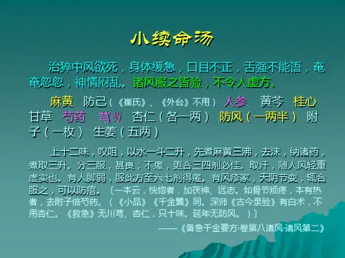 中医各家学说中风