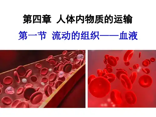 人教版七年级下册生物 4. 流动的组织—血液课件共26张