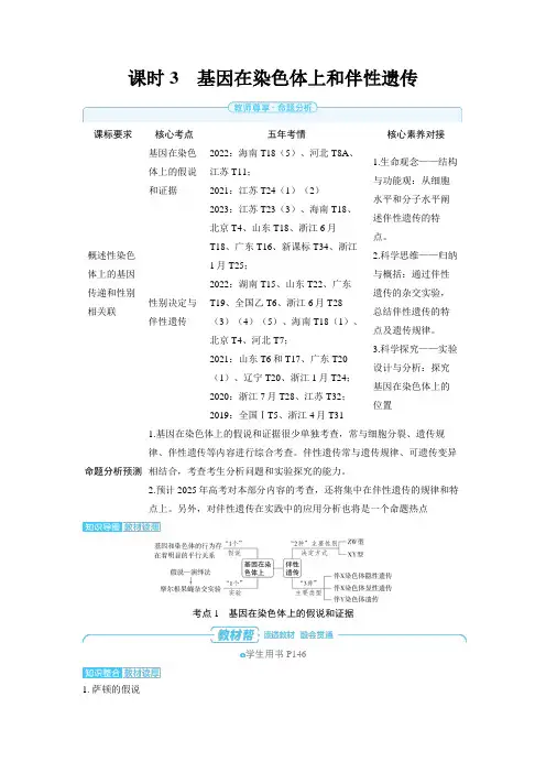 第五章基因的传递规律课时3基因在染色体上和伴性遗传-2025年高考生物备考教案