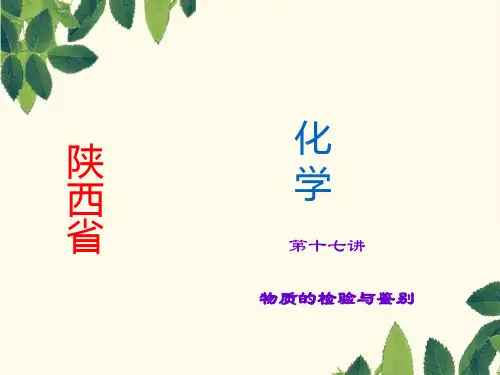 中考化学总复习课件：第17讲物质的检验与鉴别(1)