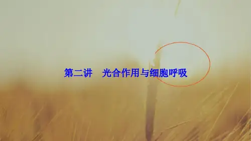 2018届高三生物高考二轮复习书讲解课件第一部分 专题二 细胞的代谢 第二讲 光合作用与细胞呼吸
