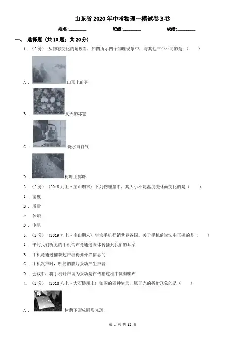 山东省2020年中考物理一模试卷B卷