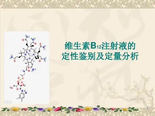 VB12注射液鉴别实验教学