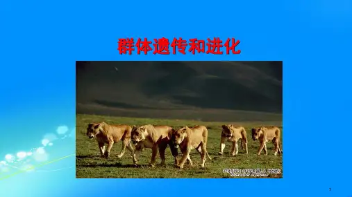 生物遗传学 群体遗传和进化PPT教学课件