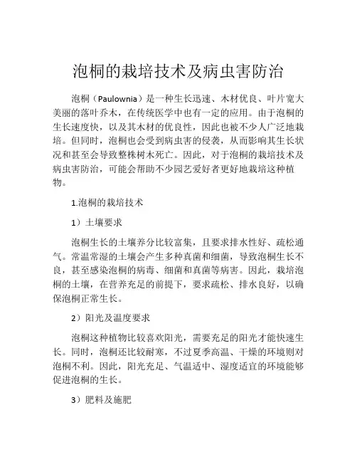 泡桐的栽培技术及病虫害防治