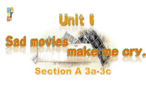 河南省濮阳市第六中学鲁教版（五四学制）九年级英语全一册课件：Unit6SectionA3a-3c(共15张PPT)